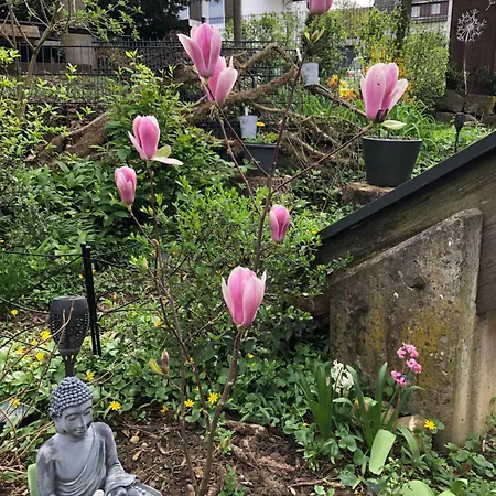 Stylisches Maybach Mit Terrasse Fuer 5 Personen, 5 Betten, Grosse Kochinsel, Homeoffice Mit 250mbit Wlan